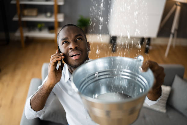 Best Flooded house restoration  in Howland Center, OH