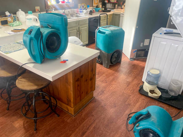 Best Carpet water damage restoration  in Howland Center, OH