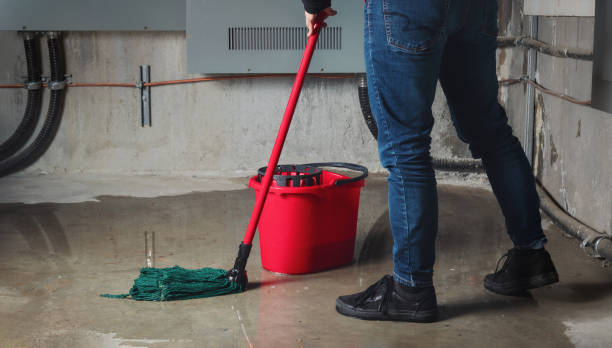Best Mold removal after water damage  in Howland Center, OH
