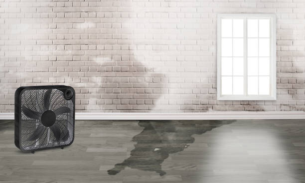  Howland Center, OH Water damage restoration Pros