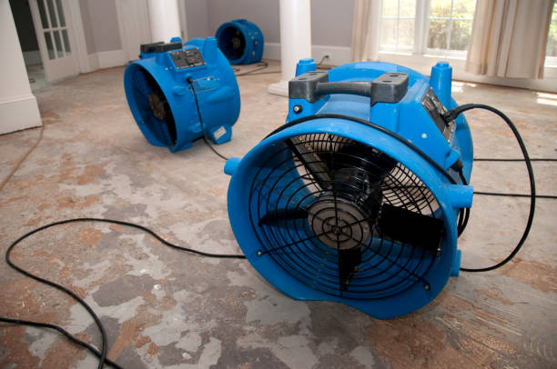 Best Ceiling water damage repair  in Howland Center, OH