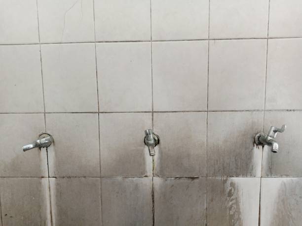 Best Sewage cleanup and water damage restoration  in Howland Center, OH