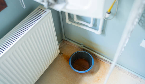 Best Local water damage restoration  in Howland Center, OH